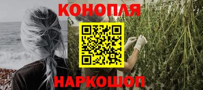 эйфоретик Славгород