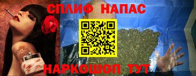 эйфоретик Славгород