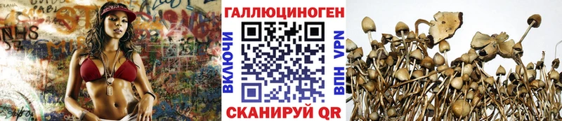цена наркотик Усть-Илимск Псилоцибиновые грибы ЛСД